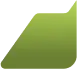 Vector